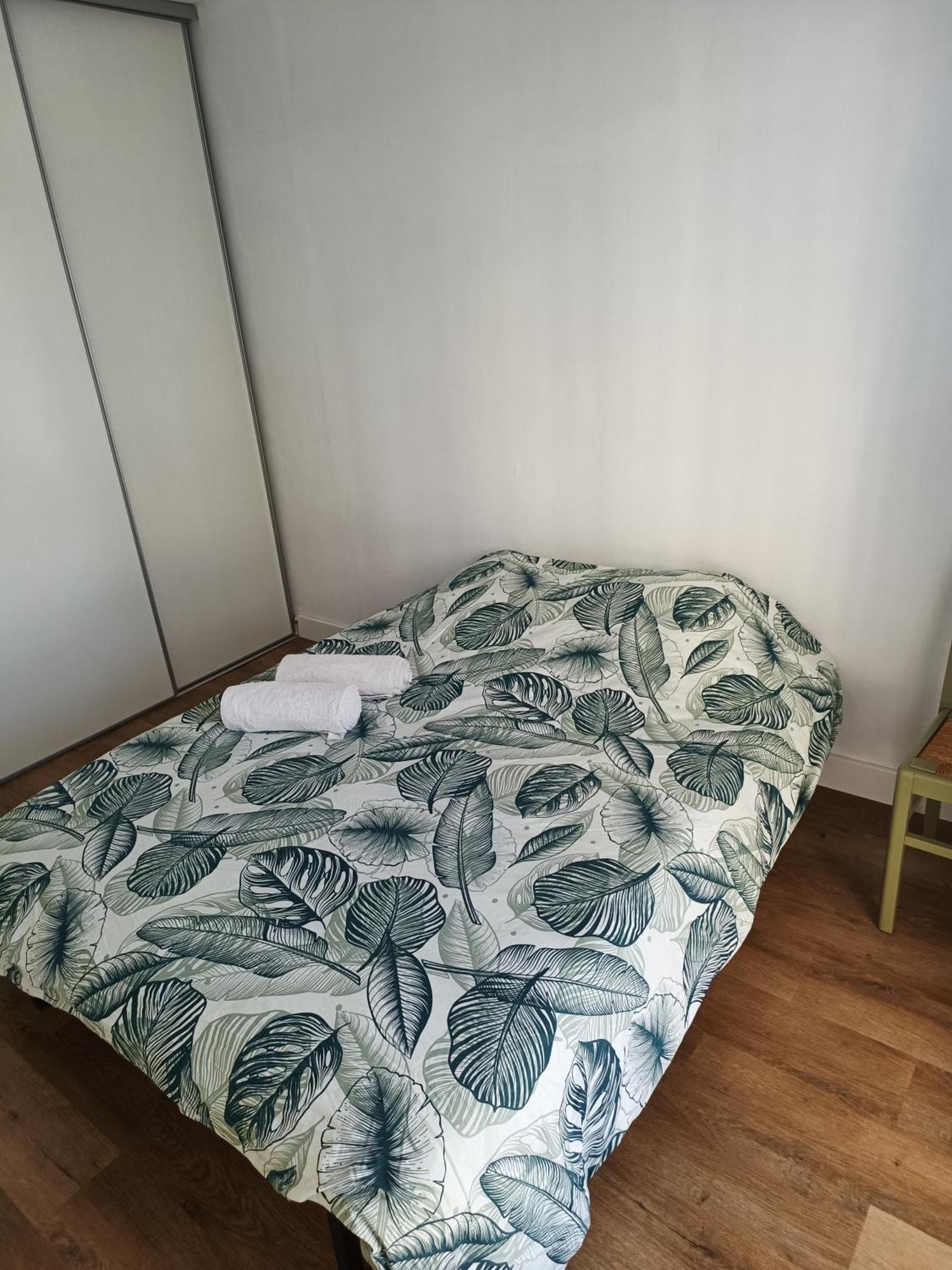 Appartement Proche Centre Ville / 3 Chambres Perpignan Exteriör bild
